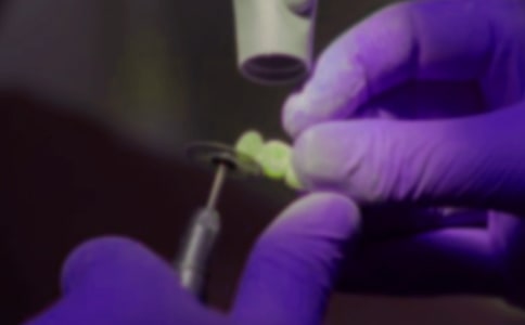 第一次拔牙的優(yōu)秀作文