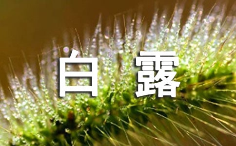白露優(yōu)秀作文