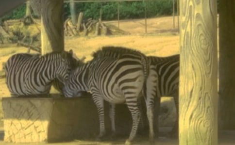 ������g(sh��)�����R���̰�