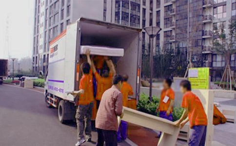 С���w��С�ð�ҽ̰�