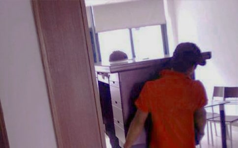 螞蟻搬家作文集合【15篇】