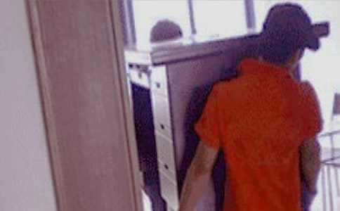 螞蟻搬家的啟示作文