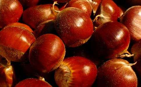 ������(y��u)������20ƪ