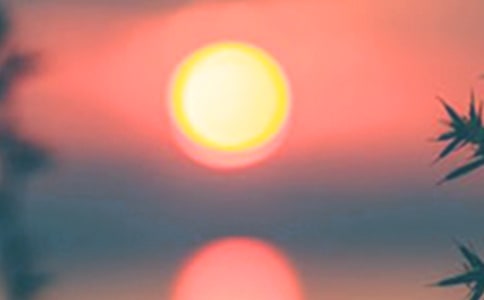 2023�����ݰ����ľ���26��