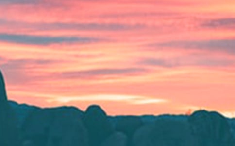 2023�����ݰ����ľ���34�l