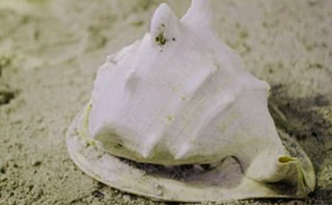 ؐ��Ԓ�}����