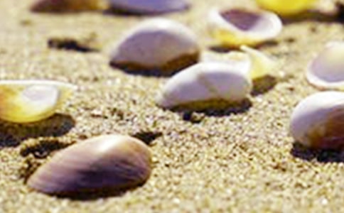 ؐ���Ć�ʾ����