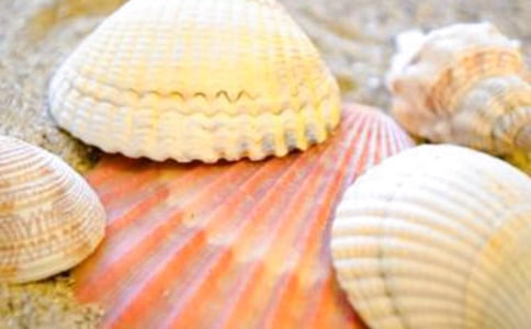 ������ؐ������600��