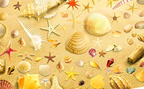 �P(gu��n)��ؐ��������