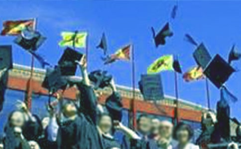 文秘專業(yè)畢業(yè)生自我鑒定