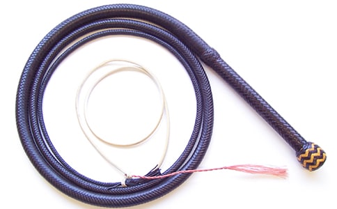 “鞭子效應(yīng)”與企業(yè)物流管理