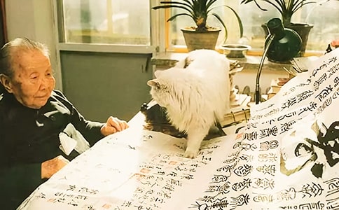 ������Ʒժ��