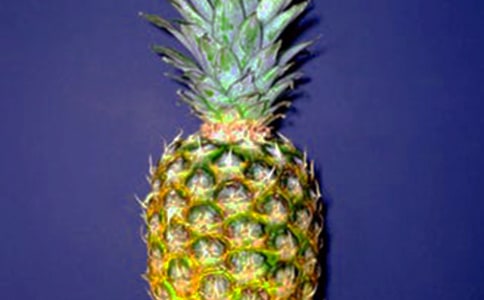 �����}�����g(sh��)�̰�