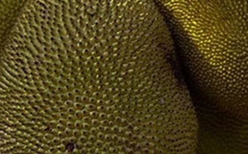 ���}�ۃ�(y��u)������