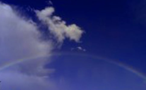 雨后的彩虹作文(通用39篇)