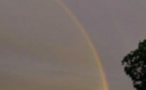 美術教案-七彩虹