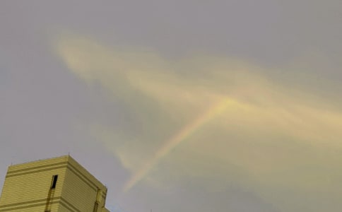 ���ʺ�����