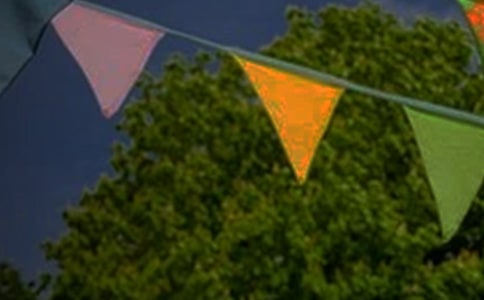 (優(yōu))小學(xué)美術(shù)彩旗飄飄教案