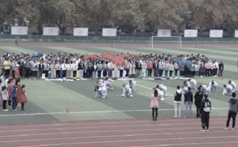 熱鬧的操場(chǎng)作文(精選30篇)