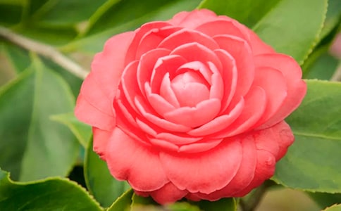 �P(gu��n)�ڲ軨������15ƪ