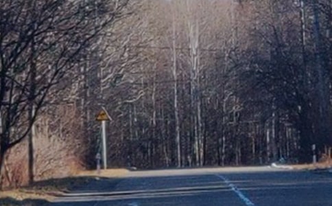 長白山的景色優(yōu)秀作文(通用5篇)