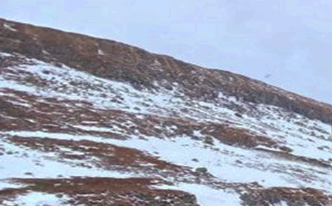 ���P(gu��n)�L��ɽ��ɫ�ă�(y��u)�����ģ�ͨ��15ƪ��