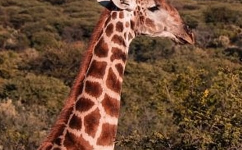 ������g(sh��)�L�i¹�̰�10ƪ