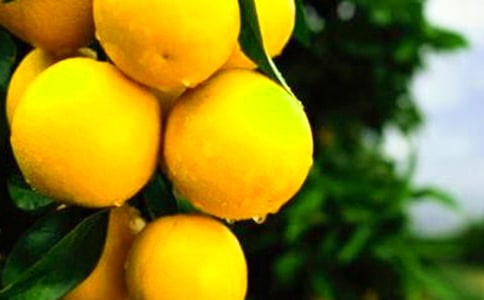 ����С�W(xu��)����������