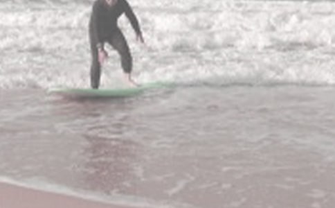 正視新課程 沖浪新課改