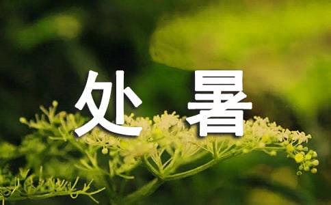 園林處暑期救援預(yù)案-范文