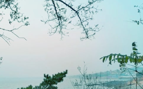 �e�ӵ��ഺ�L(f��ng)������