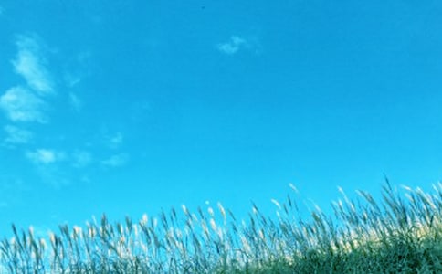 ���L(f��ng)���^������