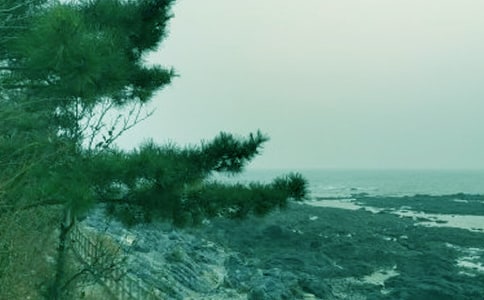 ���L(f��ng)�����