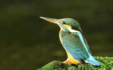 С�W(xu��)�Z�ġ����B���̰�(8ƪ)