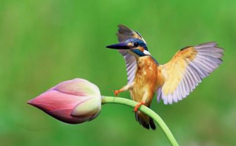 �����B����(y��u)��̌W�OӋ