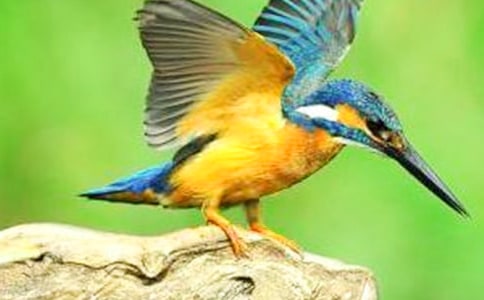 ���B�̌W(xu��)�O(sh��)Ӌ