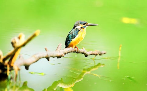 �����B���Ľ̌W(xu��)�O(sh��)Ӌ��ͨ��10ƪ��