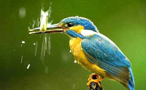 ���B�Z�Ľ̰�(15ƪ)