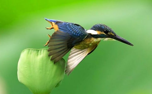 �P(gu��n)�ڴ��B�̌W(xu��)�O(sh��)Ӌ(j��)����˼�����x12ƪ��