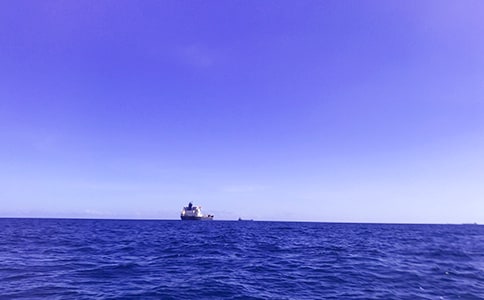 描寫大海的優(yōu)秀作文