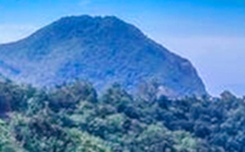 ��Ĭ�Ĵ�ɽ����