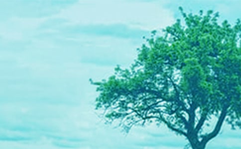 �����������(�ϼ�)