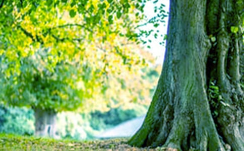 ����cС�݃�(y��u)������