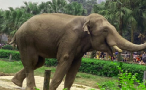 �а����g(sh��)�n�̰��������Ĵ���