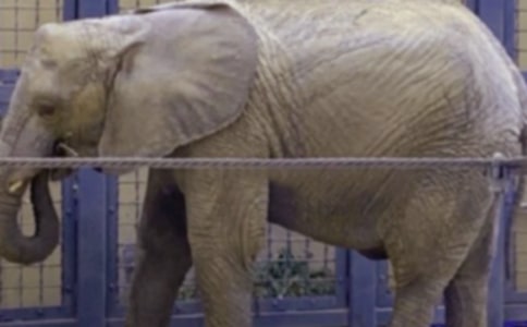 ������а����g(sh��)�̰�