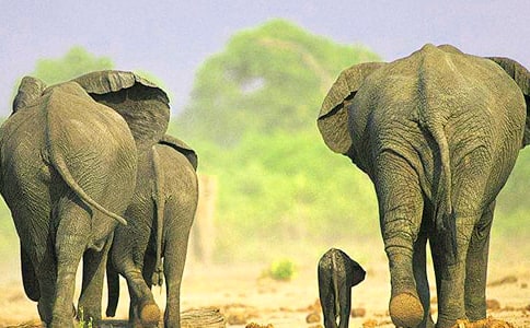 ���꼉�����ƌW(xu��)�̌W(xu��)Ӌ��