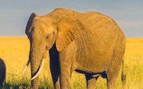 ����ϴ�����ģ����x24ƪ��