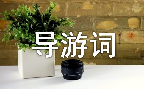 ��(d��o)���~����