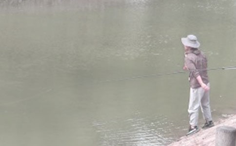 釣魚的啟示作文(精選56篇)