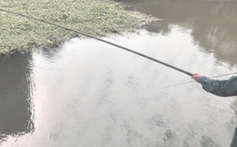 29����~�Ć�ʾ